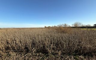 TEREN EXTRAVILAN | 35 ARI | HORODNIC DE JOS | - Poză 7