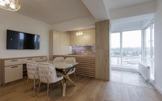 Vânzare, apartament, 1 cameră + living,  str.  Calea Ieșilor, Buiucani - Poză 1