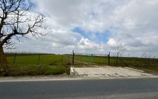 Teren de vanzare in Săcele ideal pentru silozuri, fermă 6 ha - Poză 15