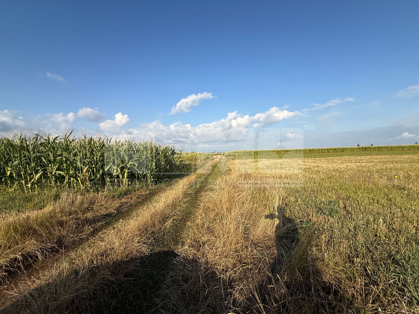 Teren extravilan de vânzare | Horodnic de Sus | 45 Ari - Poză 1