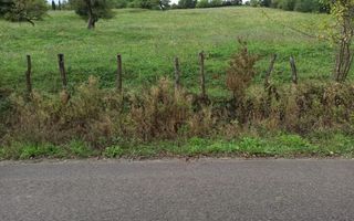 Teren intravilan 12600 mp-utilitati-ideal case, investitie-Livezile - Poză 1