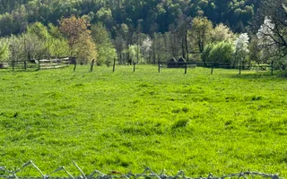 TEREN INTRAVILAN 2592 MP,  ALBESTI DE MUSCEL, ARGES - Poză 12