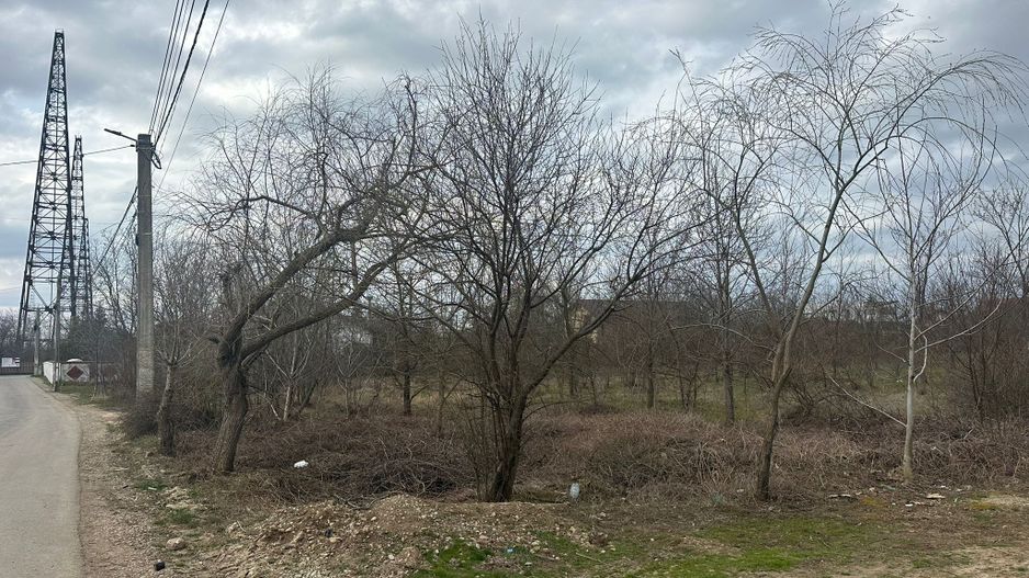 Teren intravilan cu PUZ aprobat 33.683 mp – Săftica/Balotești – deschidere DN1 - Poză 18