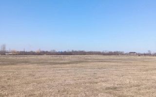 Teren arabil 1 ha în Cilibiu, Golaiesti - Poză 3