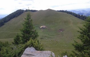 Teren extravilan pasune 270.000 mp Bertea Prahova