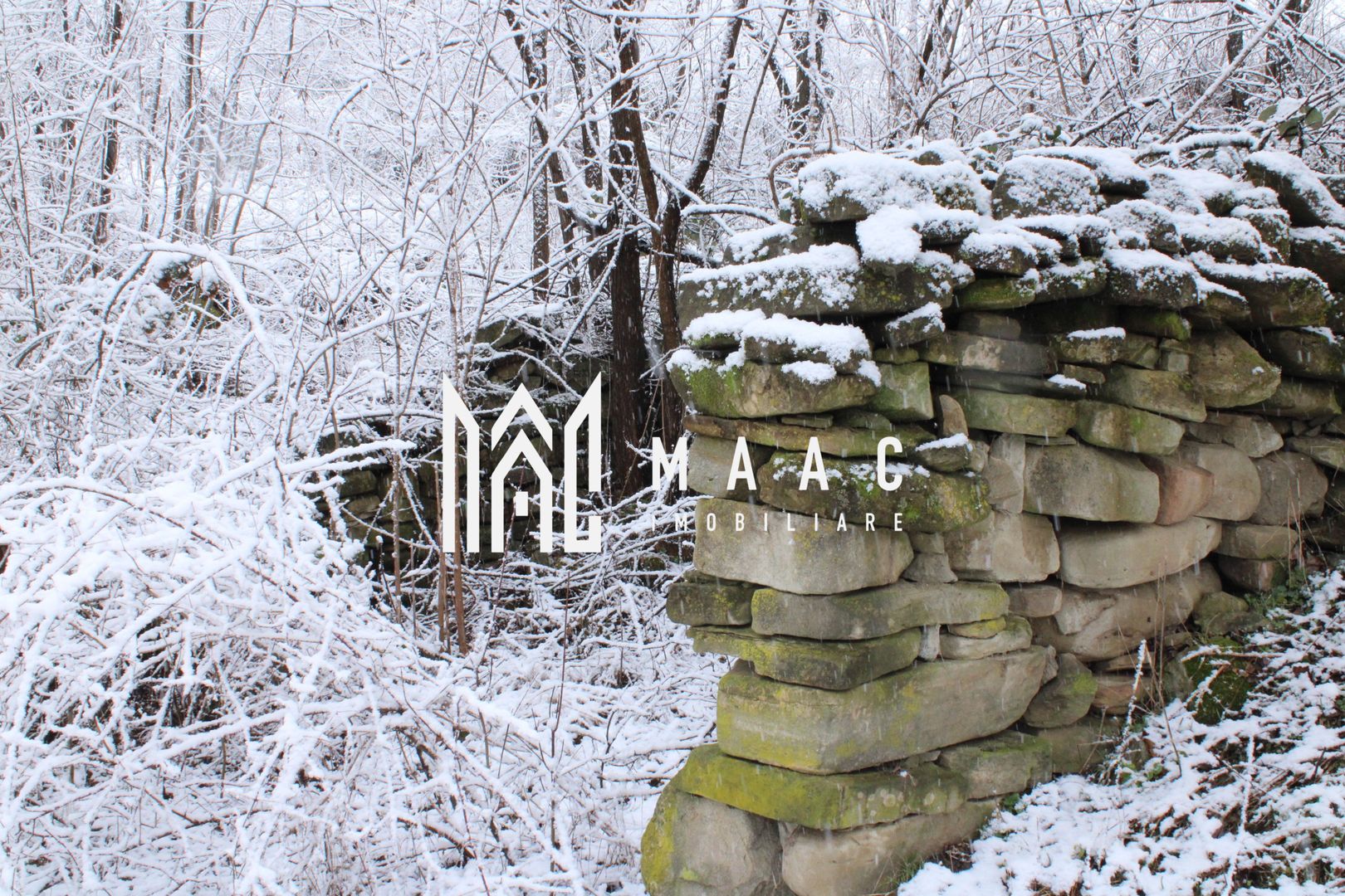 Teren cu izvor de apă minerală  Dangești, Punctul Valea Mare - Poză 26