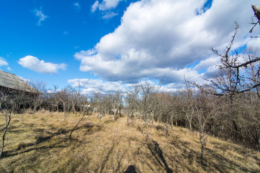 Casa traditionala argeseana – comuna Vedea, jud. Arges - Poză 8