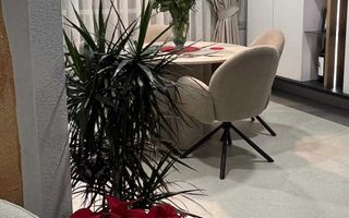 Vand apartament Copou - Poză 1