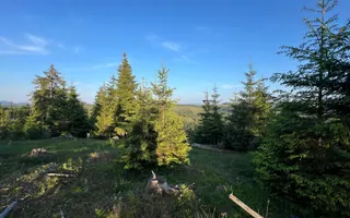 50 hectare teren | Moldova-Sulita | Potential turistic si agricol - Poză 11