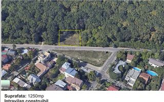 Teren padure Baneasa Jandarmeriei - Poză 2