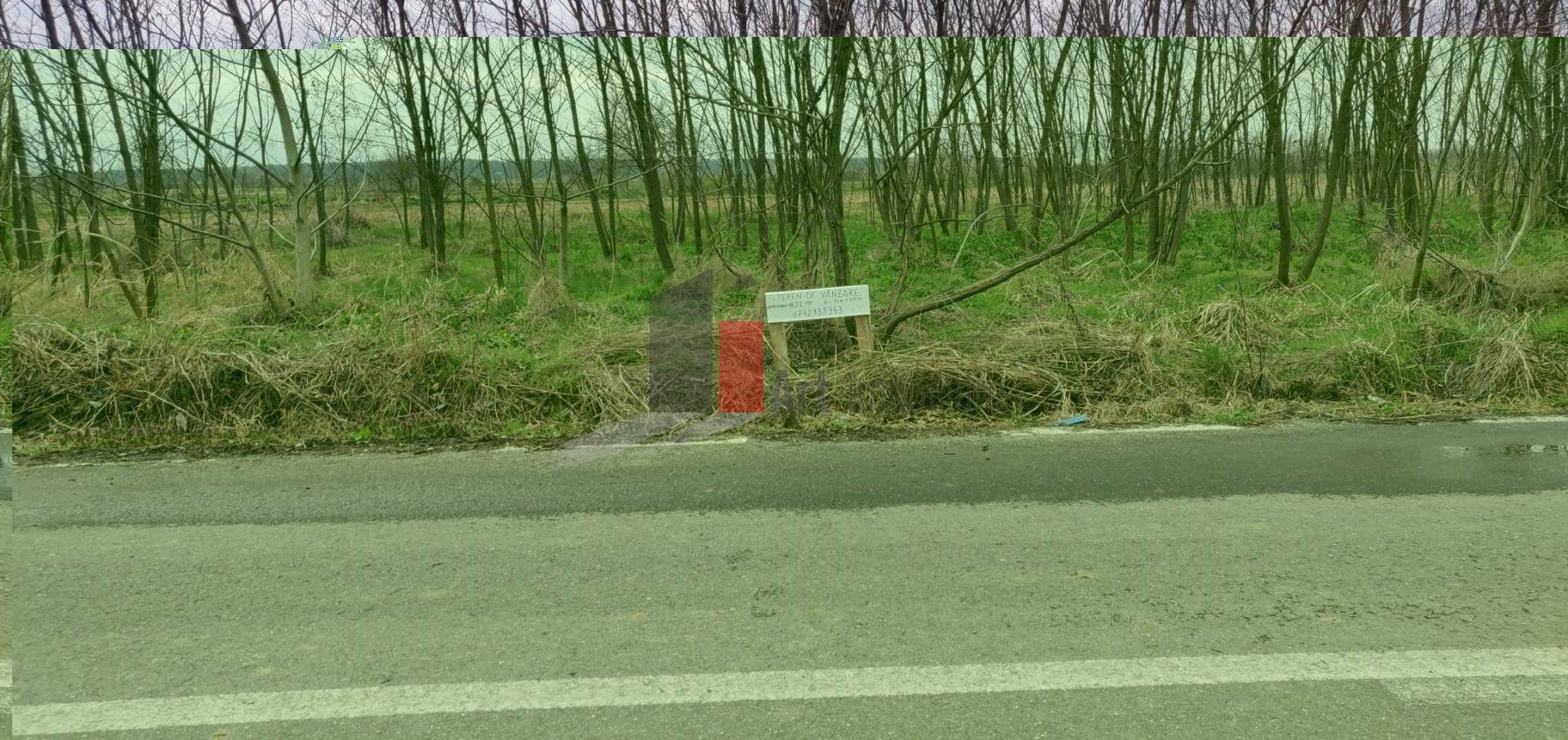 Vânzare teren Ogrezeni județul Giurgiu - Poză 2