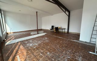 Spatiu comercial/ Bld. Corneliu Coposu - Poză 1