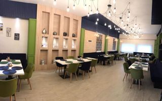 INVESTIȚIE - Complex agrement, teren 23.000 mp, VASLUI - IASI; - Poză 13