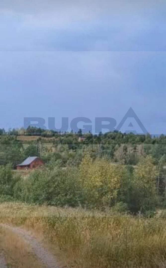 Teren extravilan, 4265 mp, zona Dangau Mare - Poză 3