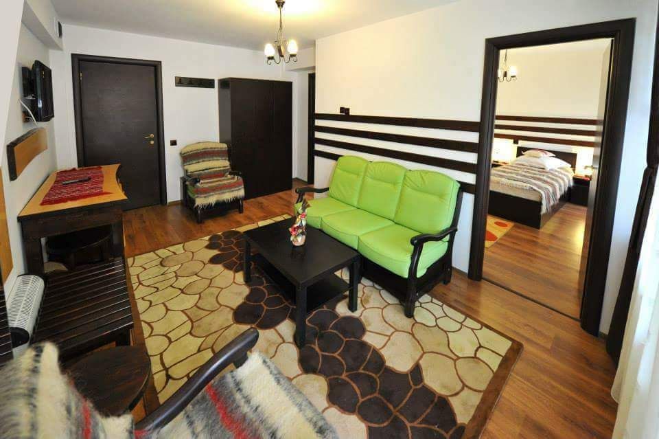 Pensiune de Vânzare în Brădetu – Acces la Apă Sulfuroasă, Vedere rau si munte - Poză 11