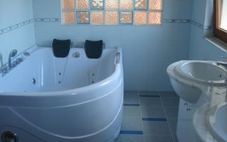 Vila Snagov langa padure / lac - Poză 9