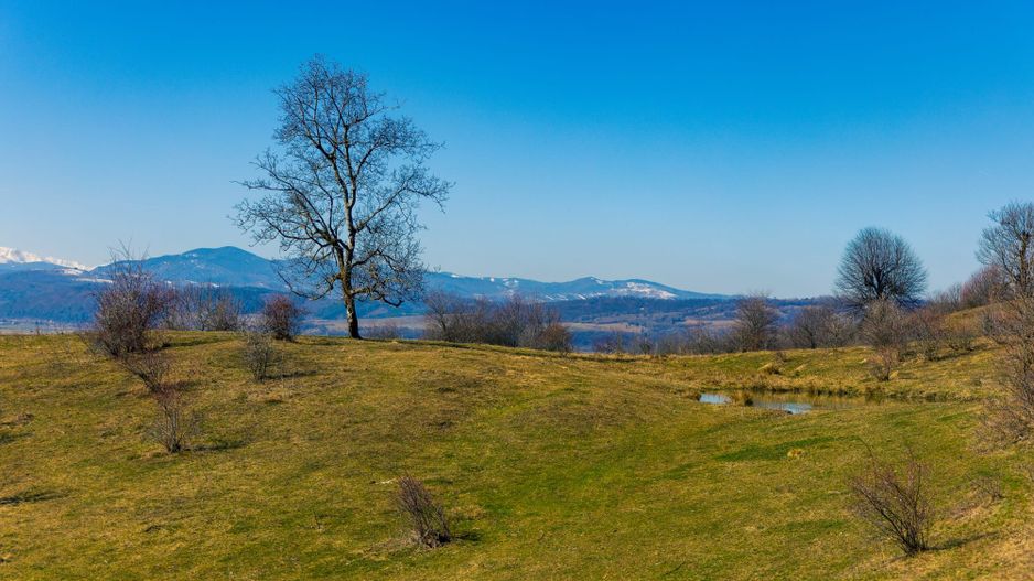 Teren 6 Hectare cu PUZ pentru Resort Turistic panorma Muntii Piatra Craiului - Poză 7