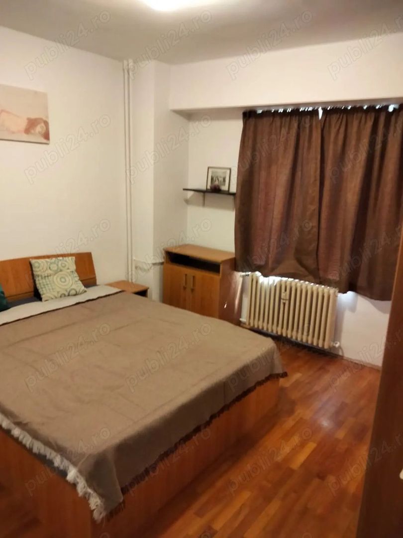 Apartament Unirii // Goga - Poză 3