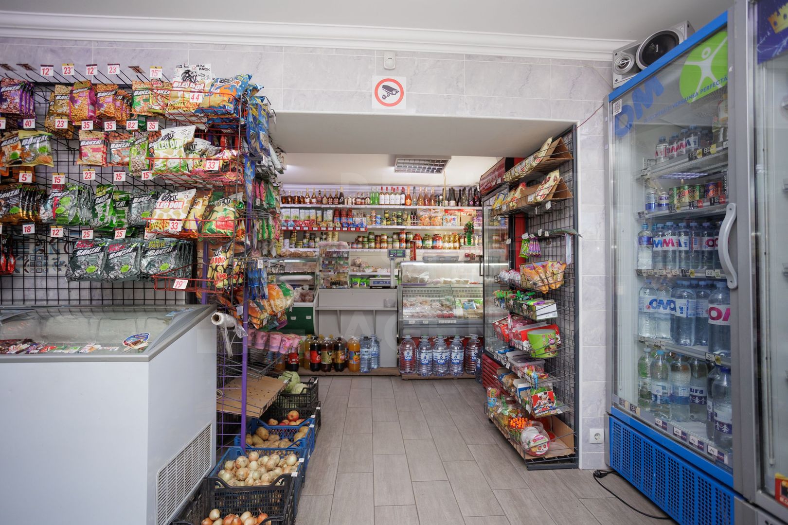 Vânzare, casă + afacere, str. Cetatea Albă, Botanica - Poză 33