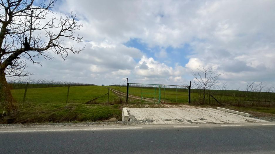 Teren de vanzare in Săcele ideal pentru silozuri, fermă 6 ha - Poză 15