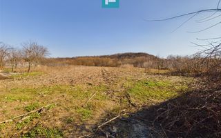 Casă rustică de vânzare în Tauț - Poză 7