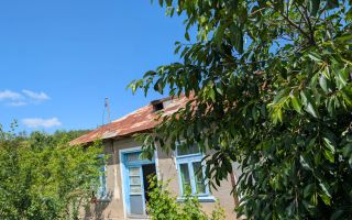 De vânzare casă în Somova, curte 1600 mp - Poză 6