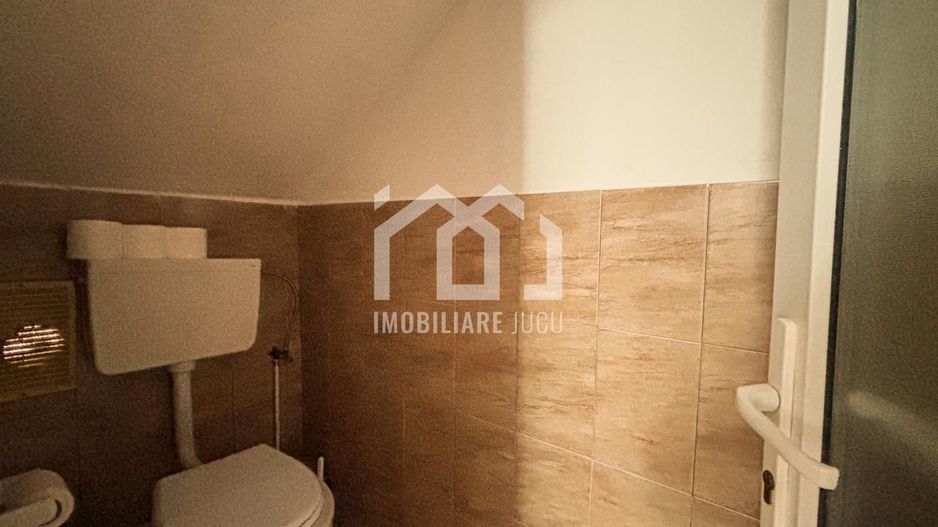 Casa individuala cu 12 camere, Potential Turistic, Visea, Comuna Jucu - Poză 27