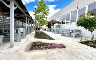 Oportunitate investitie- afacere  pe plaja Marii Negre - Venus - Poză 3