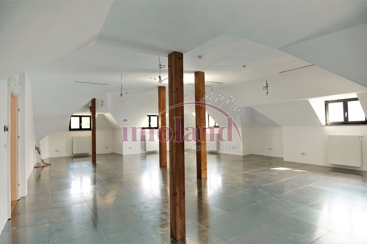 Vila impunatoare - 20 camere - birouri - Romana-Lahovari - Poză 11