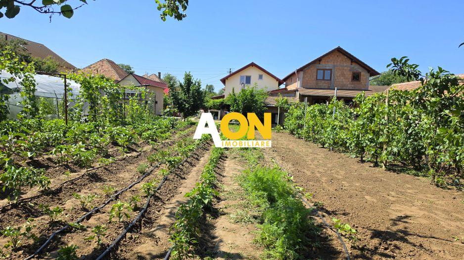 Casa 4 camere + anexe, 636 mp teren, la asfalt, Vințu de Jos - Poză 4