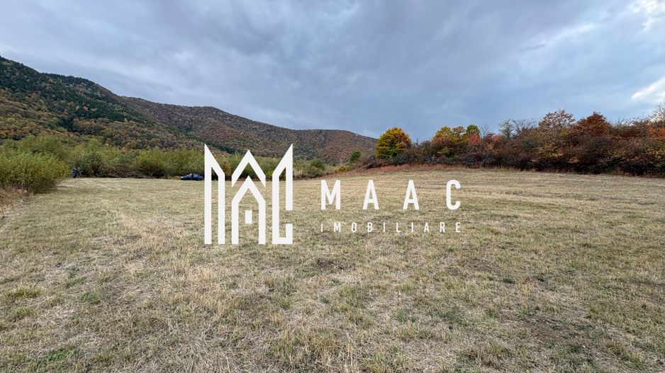 Teren de vânzare 5.000 mp | Poplaca | lângă pădure - Poză 2