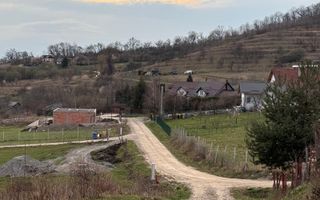 Tern intravilan Str.Podgoriei-Valea Ghinzi - Poză 8