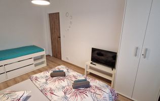 Apartament 1 camera regim hotelier Provista - Narcisei