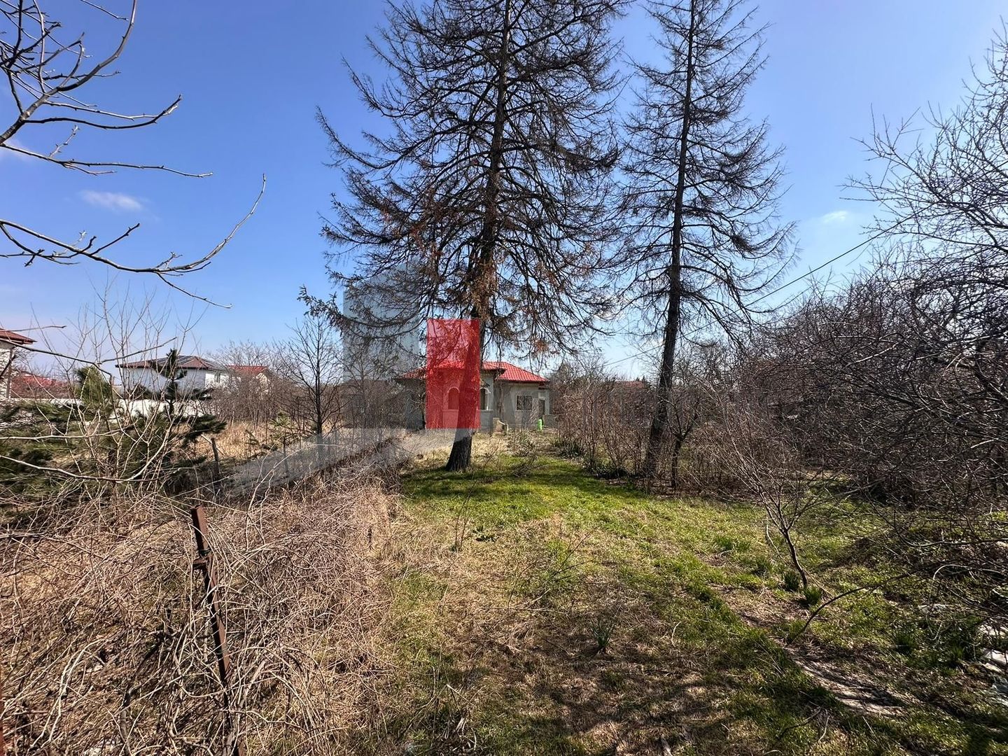 Teren 2600 mp + casa – Satul Saftica - Poză 2