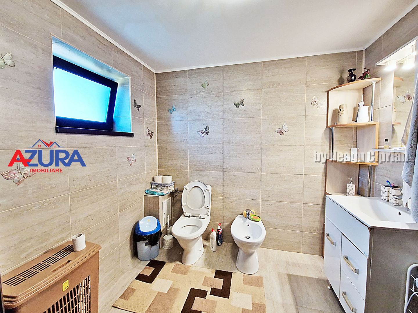 AZURA Imobiliare - 2 Case, 1 Camin - Smeura 250 m din DN zona Hintesti - Poză 11