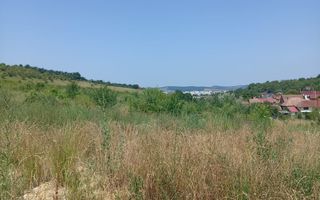Teren de vanzare | 8800 mp | Viile Dealul Mic - Poză 1