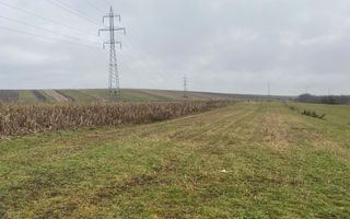 Teren Burdujeni | Zona Tarinca | 41 Ari - Poză 1