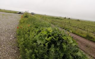 Teren la DN Brașov-Tărlungeni - Poză 6