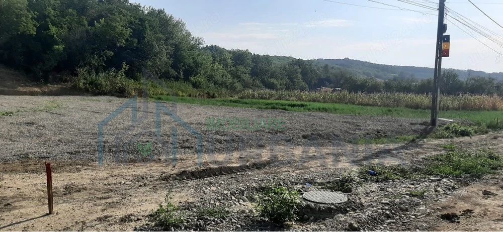 Teren intravilan 1400 mp cu deschidere la E85, Cristești, jud. Iași - Poză 3