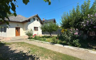 DE VANZARE GOSPODĂRIE CU POTENȚIAL ÎN BRĂNEȘTI, DÂMBOVIȚA - Poză 1