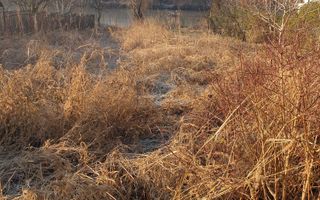 Teren superb rezidential, pe malul lacului Pipera - Poză 5