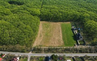 EXCLUSIVITATE-PROIECT UNIC PADUREA SNAGOV! Loturi 400-600 m2 ,PUZ - Poză 7