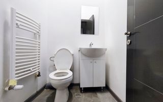 Spatiu comercial Dambu Rotund | Cladire Noua | Parcare - Poză 7