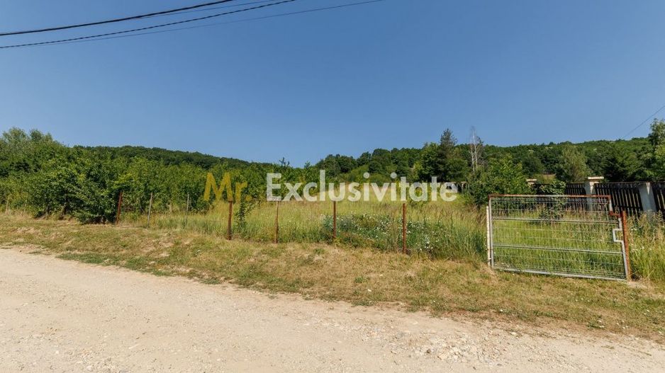 Teren intravilan Ștefănești Valea Mare Podgoria - Poză 1