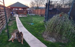 BRASADAS vinde casa individuala in zona Baritiu. - Poză 3