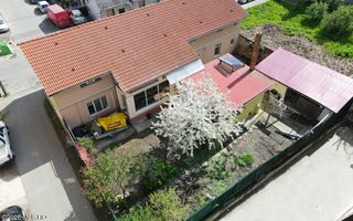 Lunei - Ion Neculce, 2 Apartamente. Mansarda 157 mp. Anexe, Lot 475 mp - Poză 45