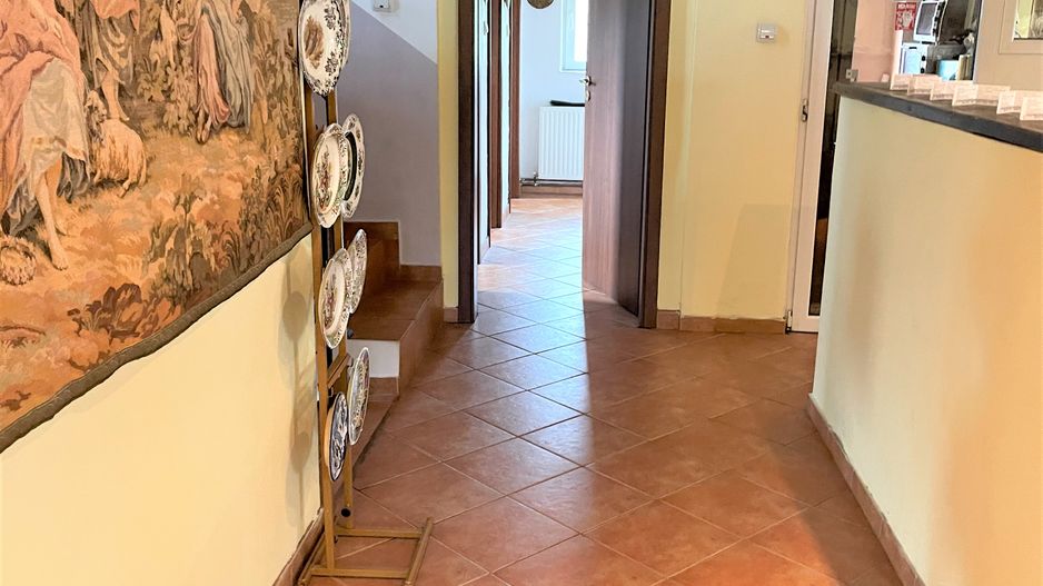 Proprietate in incantarea naturii, oportunitate investitie/rezidential, Predeal - Poză 7