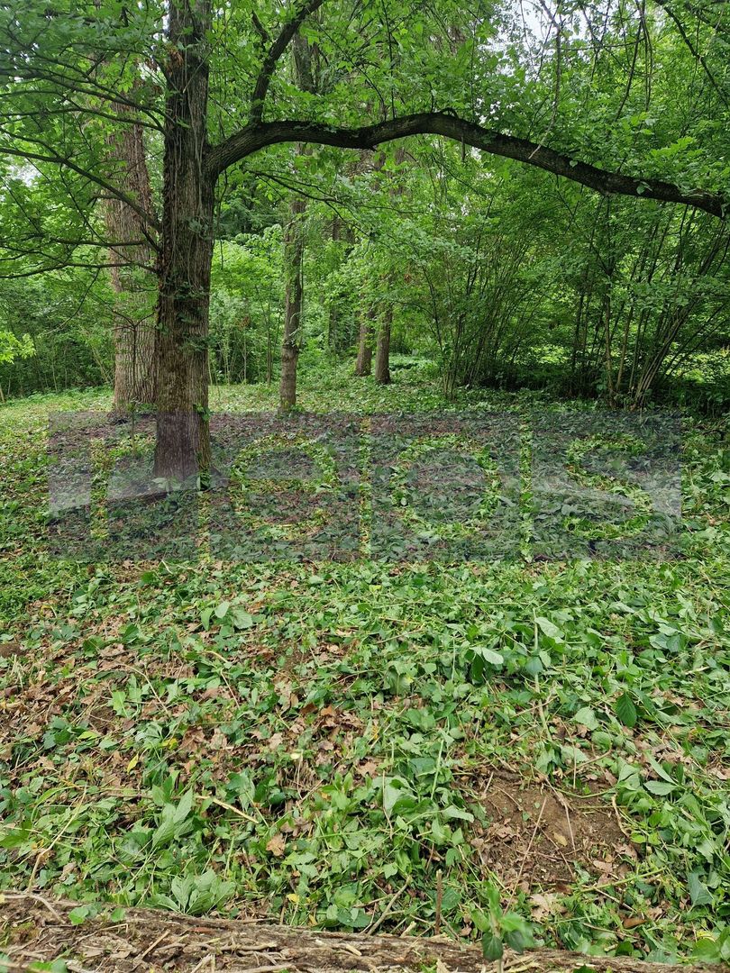 OPORTUNITATE- VANZARE- TEREN LAC  SNAGOV 1300mp - Poză 2