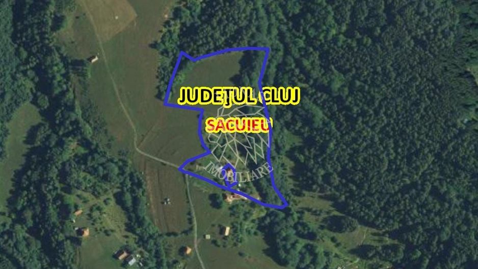 COMISION 0 20.000 MP TEREN EXTRAVILAN CU PADURE ZONA TURISTICA SACUIEU VLADEASA - Poză 6
