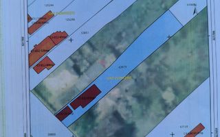 Teren intravilan 2.500 mp cu potențial rezidențial – Clinceni - Poză 5